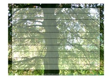 Foto-Schmuckblatt-Bäume-20.pdf